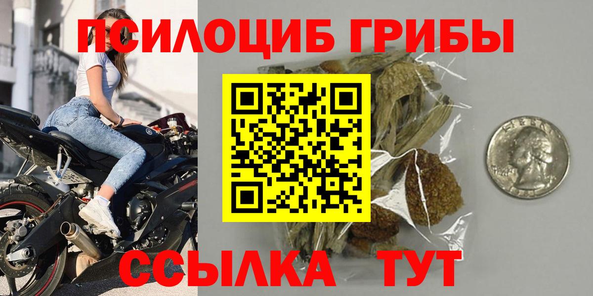 Псилоцибиновые грибы прущие грибы  Вход с VPN  Среднеуральск 