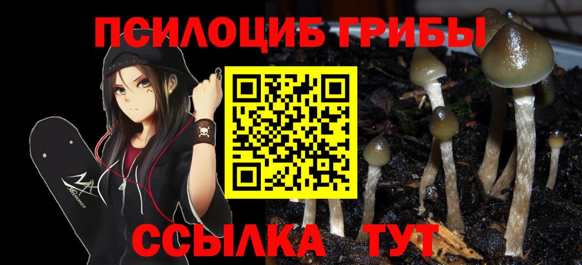 Псилоцибиновые грибы ЛСД Среднеуральск